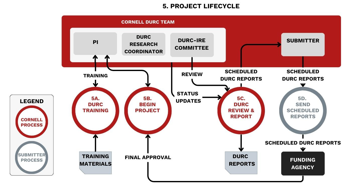 5. Project Lifecycle overview with 4 steps described below