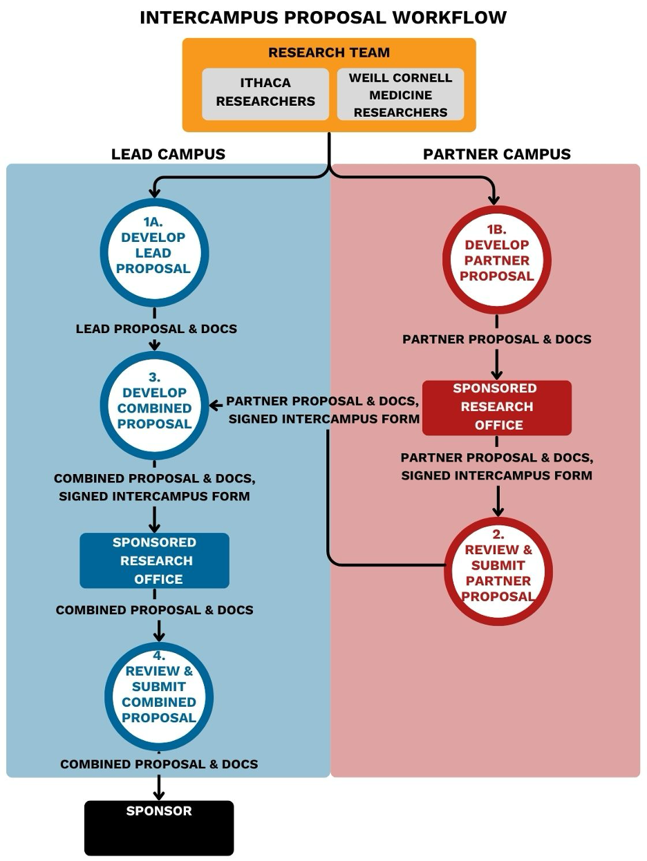 intercampus workflow described below